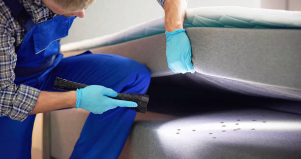 Best Pest Prevention Services  in Wayne Heights, PA